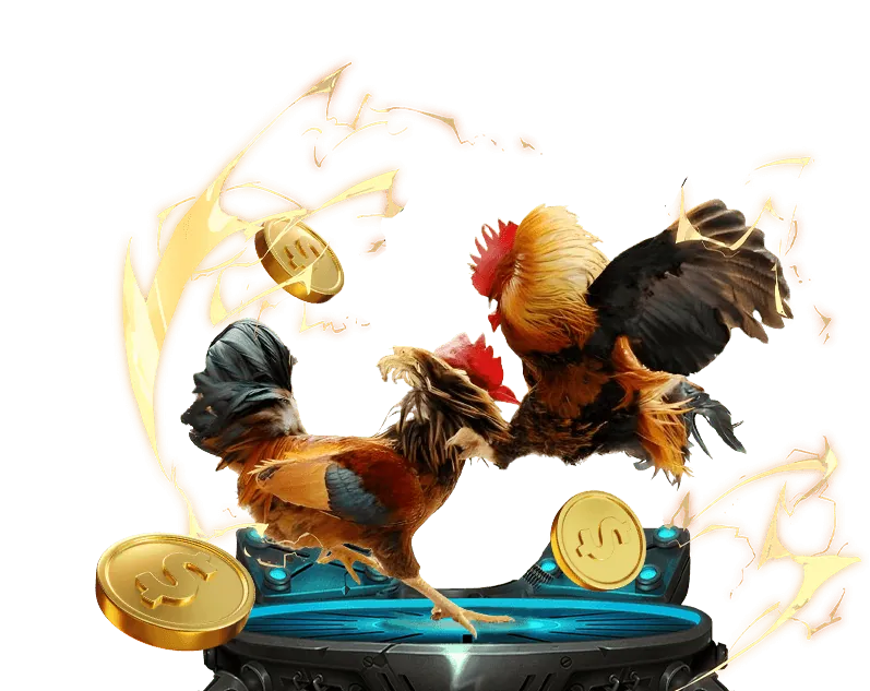 Giao diện hướng dẫn đặt cược đá gà tại XX88 Đăng Nhập